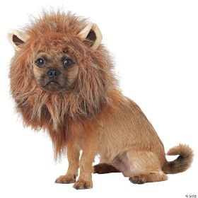 King of jungle dog costume lg