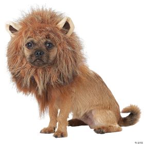 King of jungle dog costume md