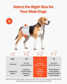 Disposable Male Dog Diapers, Super Absorbent Male Dog Wraps, 360 ?Â° Leak-Proof Belly Bands with Wetness Indicator for Doggies in Heat, Training, Inco