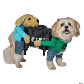 Piano dog costume