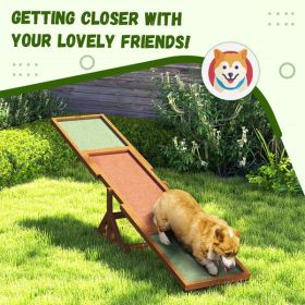 Dog Agility Ramp , Pet Seesaw