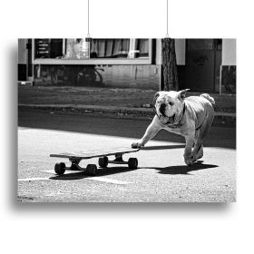 Dogs Just To Have Fun Canvas Print or Poster (Type: Poster Print, size: 16" x 12" / 42cm x 30cm approx)
