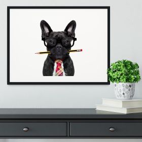 Office businessman french bulldog dog with pen Framed Print (Color: White/With White Edging, size: 24" x 16" / 60cm x 40cm (approx))