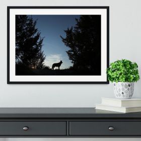 Picture of a wolf dog at dusk. Framed Print (Color: Black/With White Edging, size: 48" x 32" / 120cm x 80cm (approx))